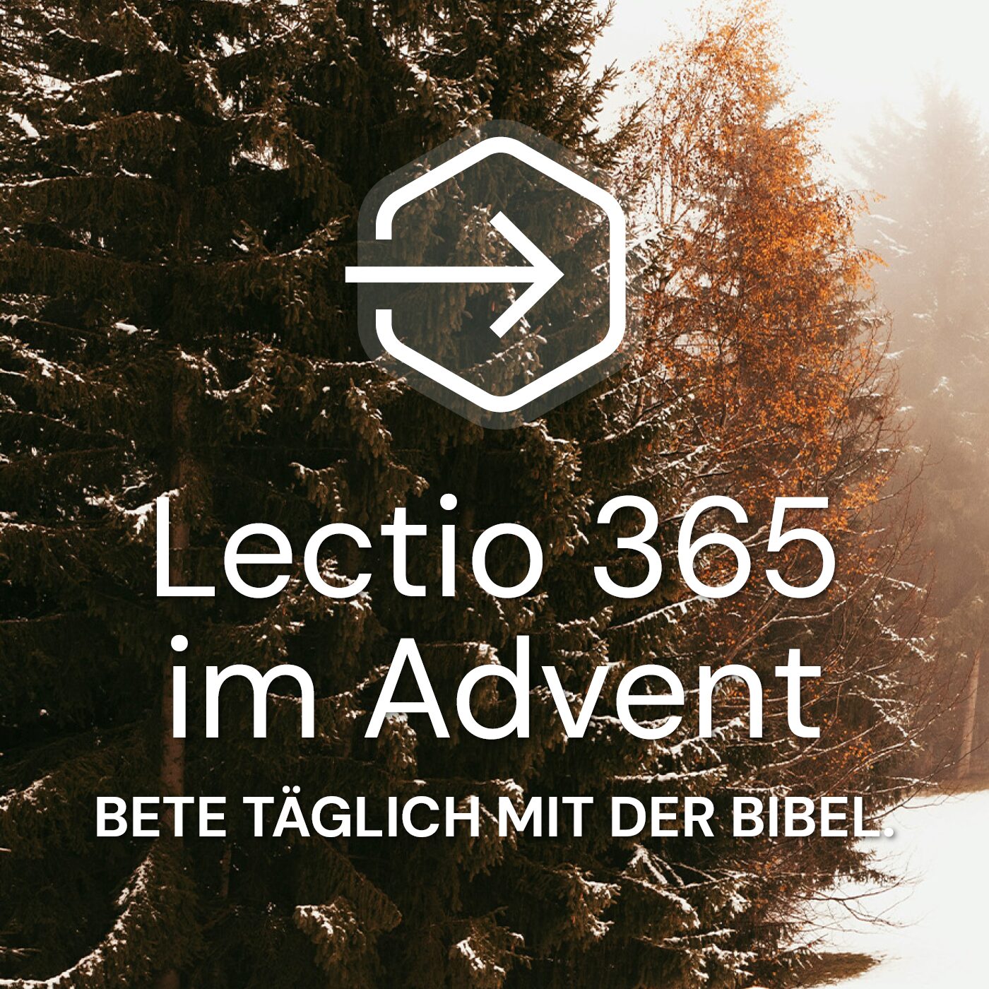Life Lion-Bibel und Lectio 365-Adventsgebete